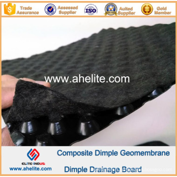 HDPE Dimple Geomembrane for Drainage